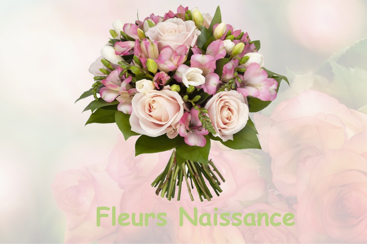 fleurs naissance EGLISE-NEUVE-D-ISSAC